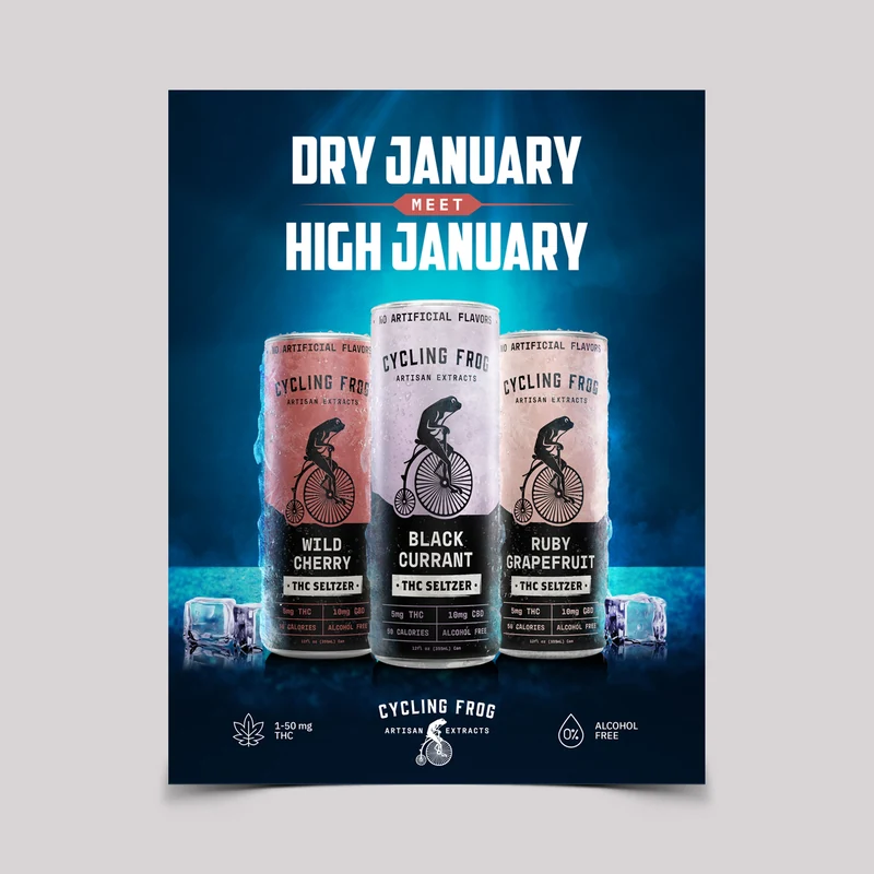 Cycling Frog — Campaign poster · blue direction