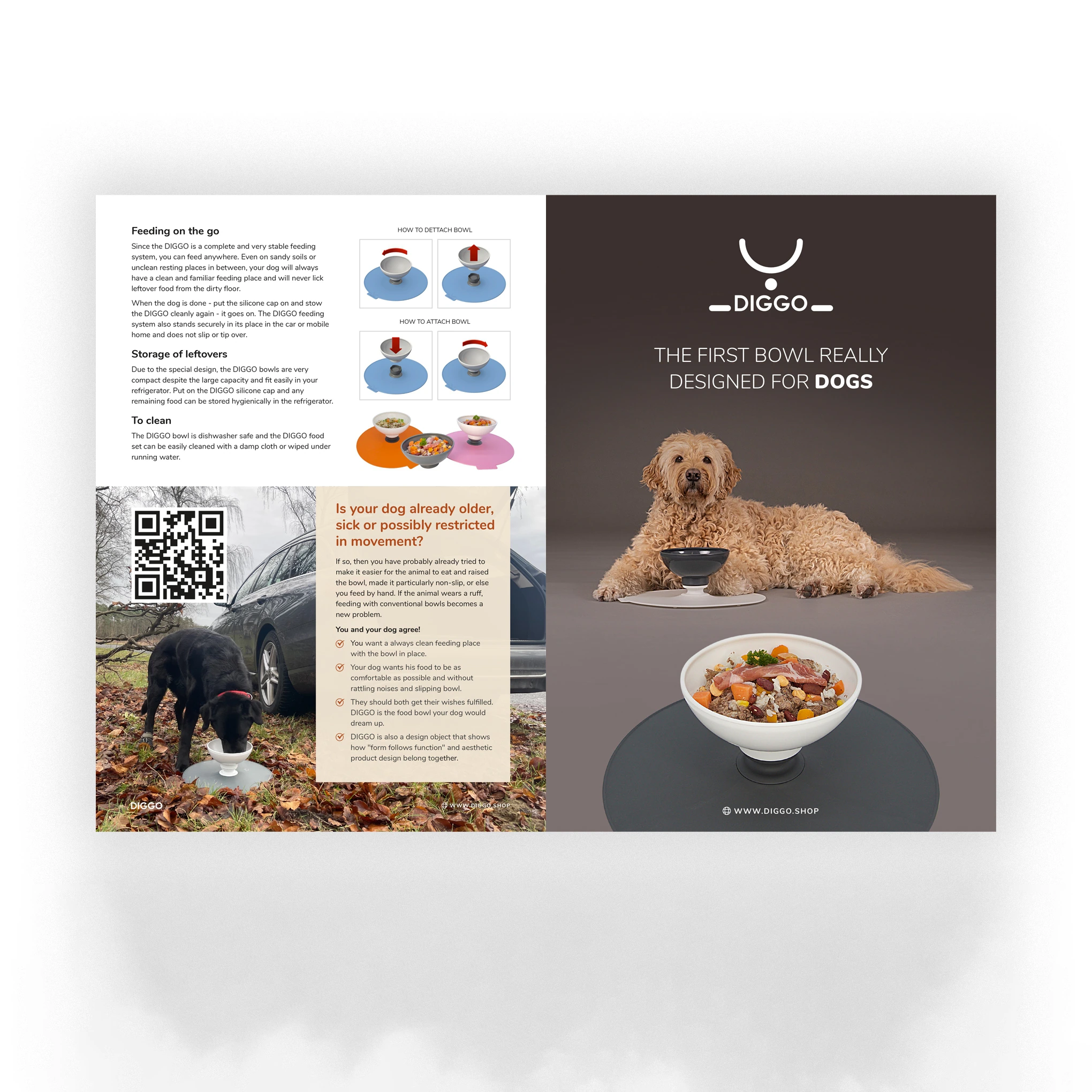 Diggo — Brochure direction 01 · cover and back