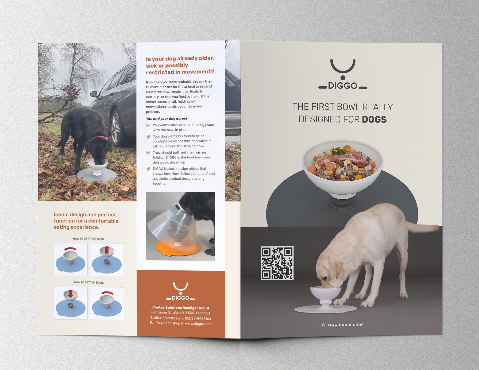 Diggo — Brochure direction 02 · cover and back